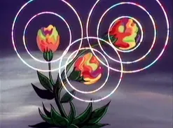 Still from episode 8, Power of the Wise, image 30 of 247